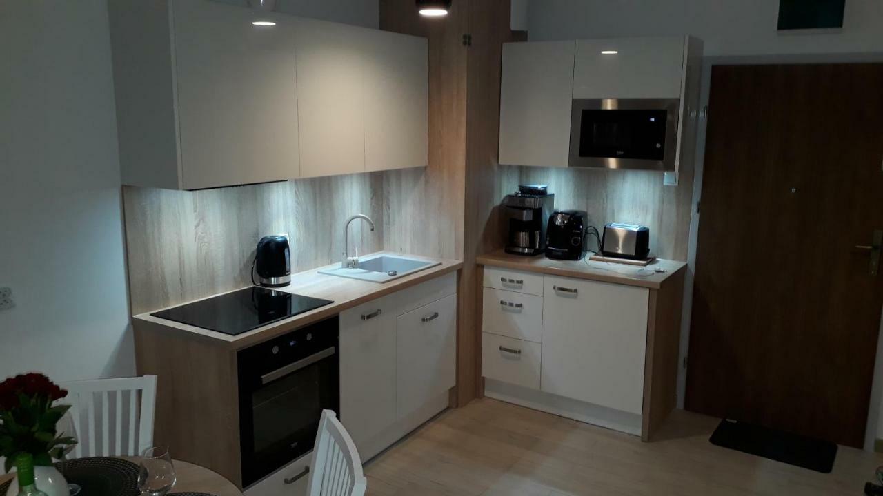 Apartament Oliwka Z Prywatnym Miejscem Postojowym コウォブジェク エクステリア 写真